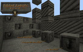 Polished Andesite