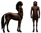 Centaurs__whole_body_.jpg