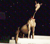 The Horse Is Here...