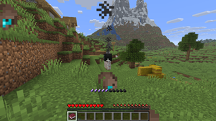 Wither Skull Spell