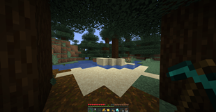 capture9965.png