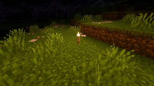 Screenshot 22