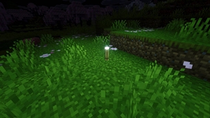 Screenshot 23