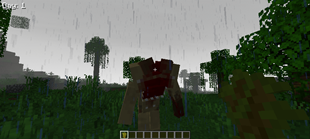 6447.png