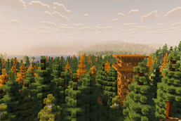 forest