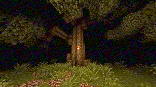 Large tree..