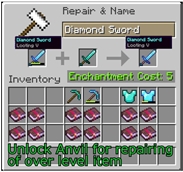 06-OverLevelRepair.jpg