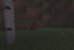 infested fox
