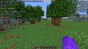Custom F3 Menu