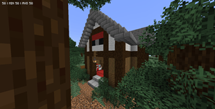 Taiga/Snowy Plains/Snowy Taiga Pokecenter