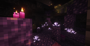 Overworld 6