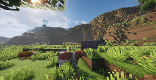 Overworld 13