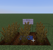 Screenshot 2026-07-17 234344.png