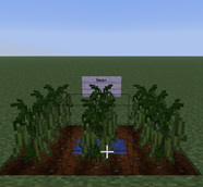 Screenshot 2026-07-17 234424.png