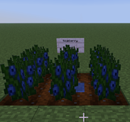 Screenshot 2026-07-17 234459.png