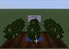 Screenshot 2026-07-17 234323.png