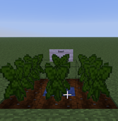 Screenshot 2026-07-17 234408.png