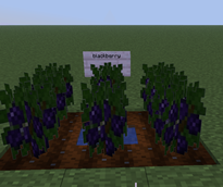 Screenshot 2026-07-17 234444.png