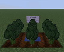 Screenshot 2026-07-17 234516.png
