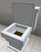 Clogged Toilet