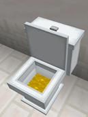Dirty Toilet Bowl