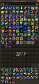 Combined backpack.png