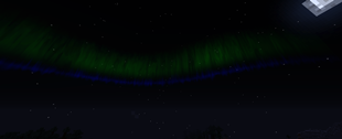 Parasite'sDreamPhoto2