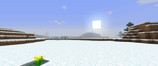Parasite'sDreamPhoto3