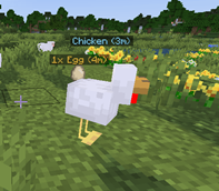 some chick and egg