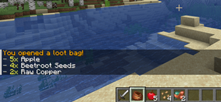 Loot-1.21.1.png