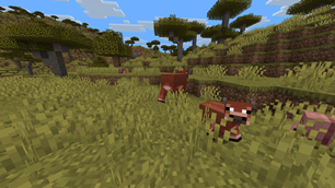 baby cow