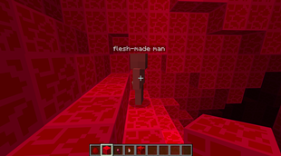 what the hell is going on in my minecraft.png