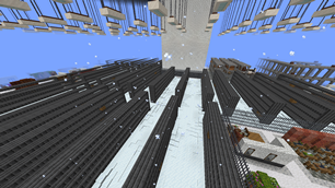 explore the Snowy Biome