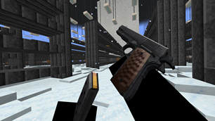 Snowy Biome