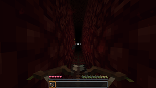 Flesh Labyrinth