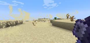 sandstorms