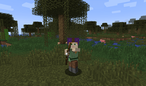 Bow Animation