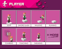 Player Animations