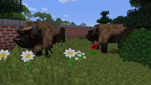 Wisent