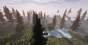 Devilfire Forest!