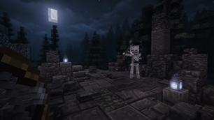 Borrowed Aim Night Encounter