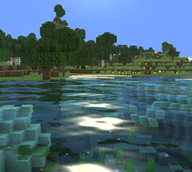 the water:)