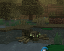 Swamp Spider