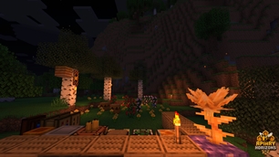 Starter Apiary