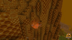 Honey! And... Spiders?