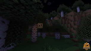 You Can Never Have Too Many Hives