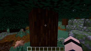 In Game.png