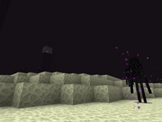 The End