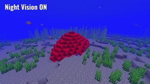 Night Vision ON 2.png