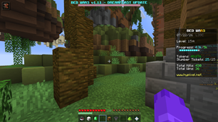 In game hud